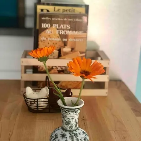 La Petite Maison Bleue Apartment
